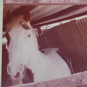 Meet your Posher, Janene